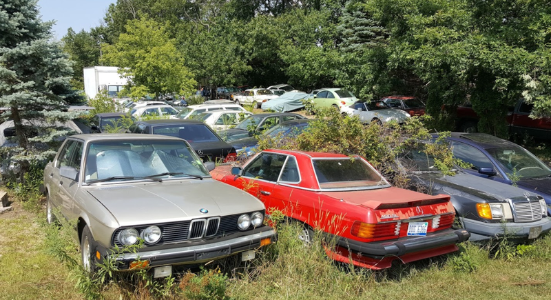 Illustration for article titled A Michigan Town Is Forcing This Man To Sell 20 Old Cars Off His Property Every Month